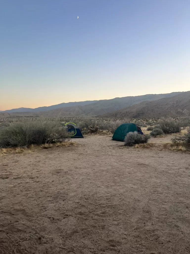 Two tents set up at Borrego Palm Canyon Campground in Anza-Borrego Desert State Park.