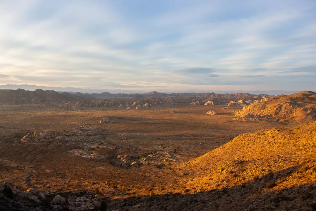 views of expansive desert climbing Ryan Mountain at Joshua Tree National Park.  