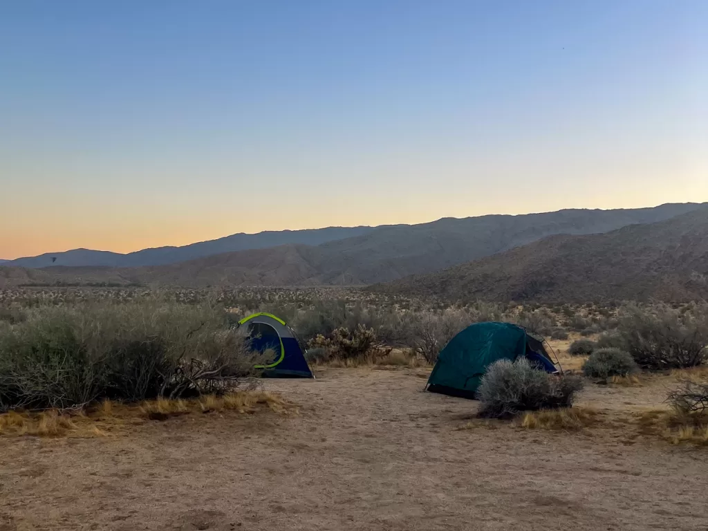 Tents pitched at Borrego Palm Canyon Campground with the desert and mountains in the background at Anza-Borrego Desert State Park.