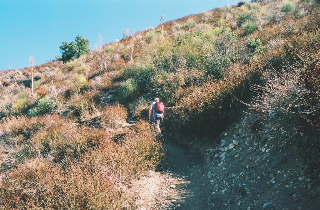 A hiker ascending a trail in the San Gabriel Mountains. 