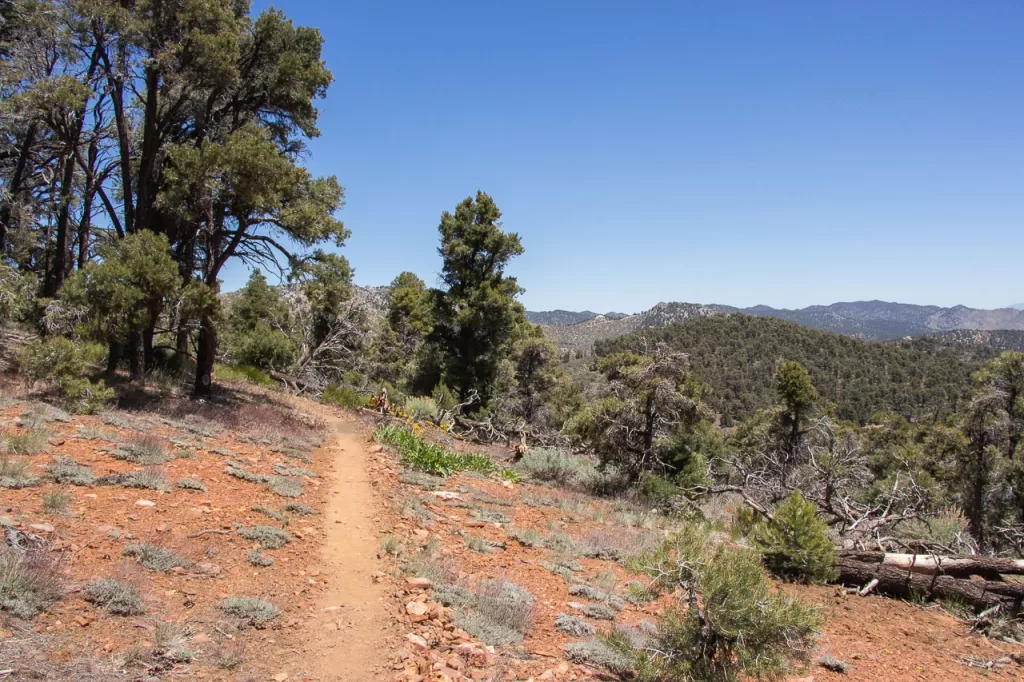 The Pacific Crest Trail in the Chimney Creek wilderness, right before Kennedy Meadows. 