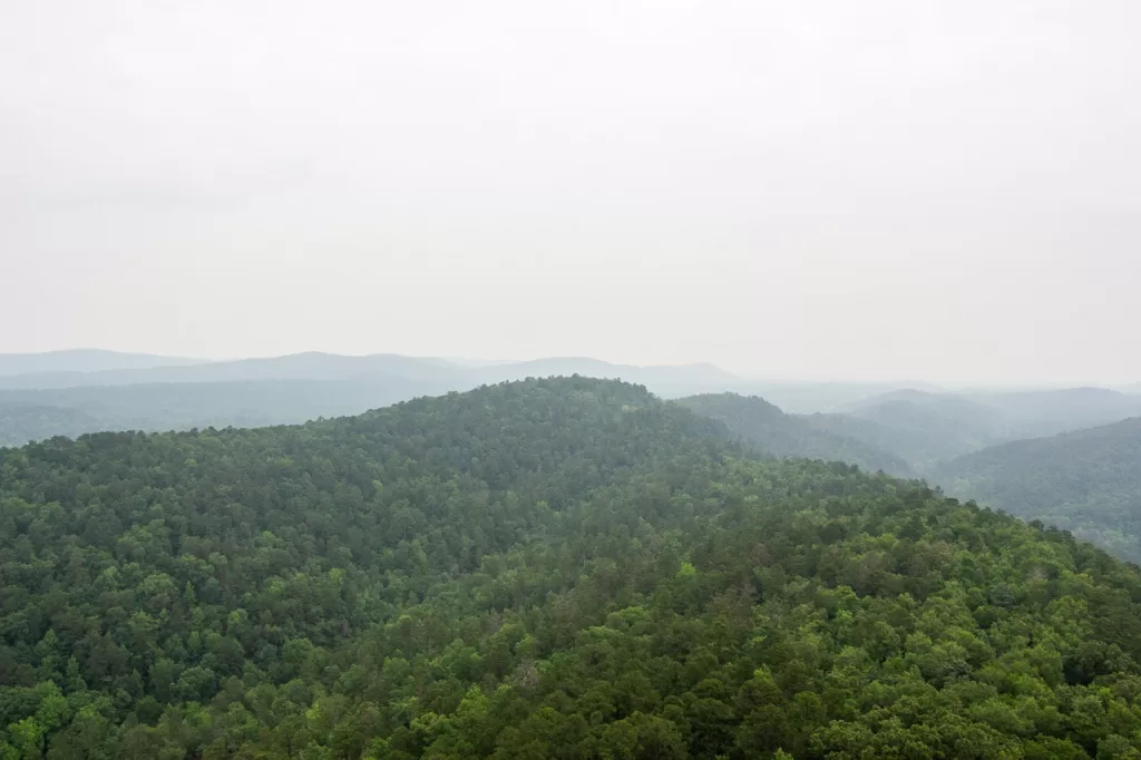 The Ouachita Mountains rolling on in the distance. 