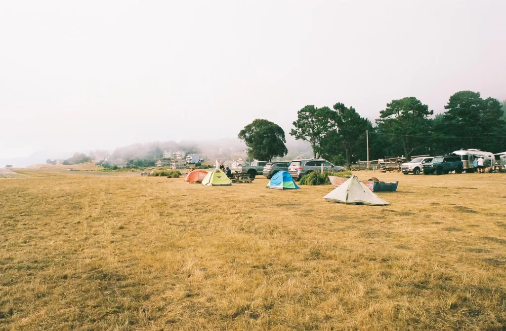 Tents lined up on the grass in Shelter Cove. 