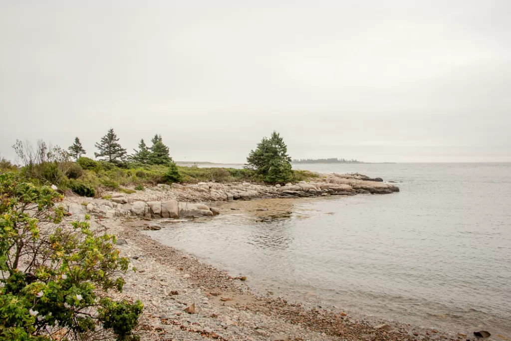 A rocky beach on a foggy day. 