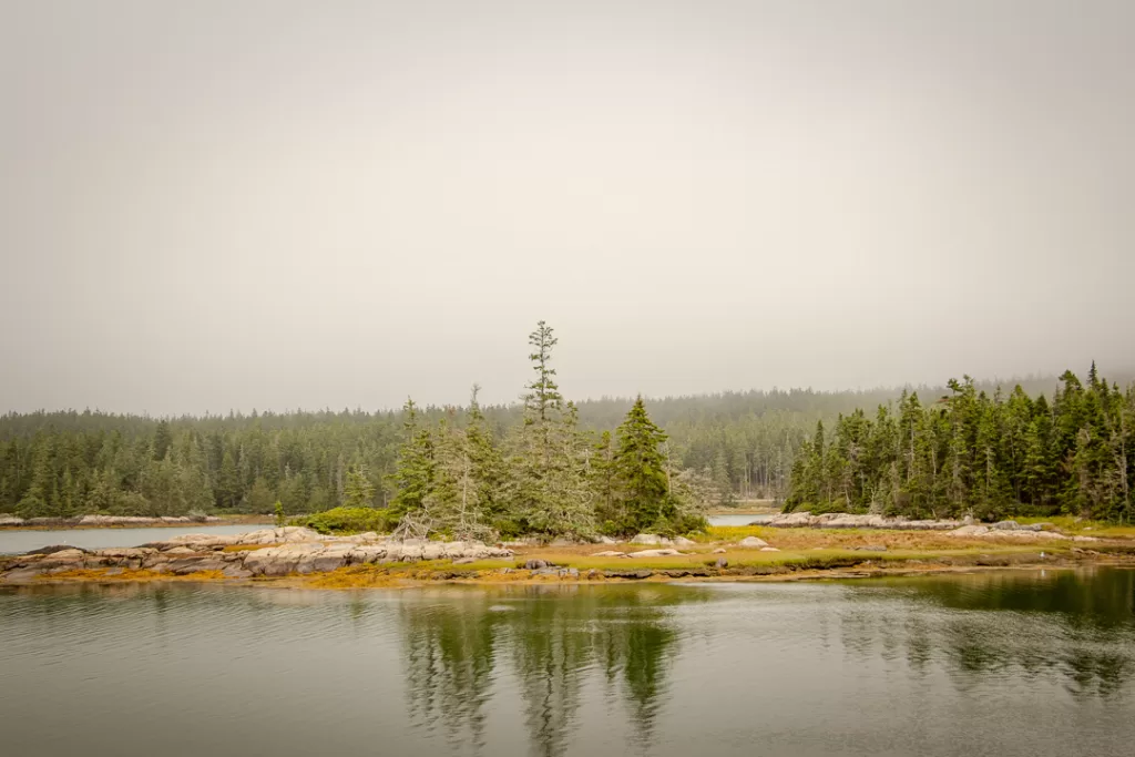 An island with trees and a forest. 