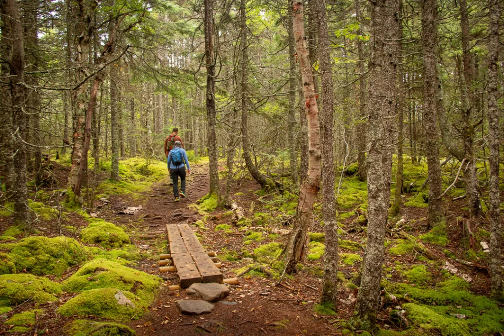 two hikers walking along one of the Acadia National Park hikes. 