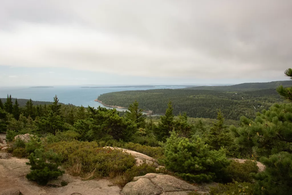 A view of the mountains, Atlantic ocean, and forest.