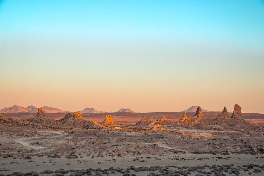 the Mojave Desert at golden hour. 