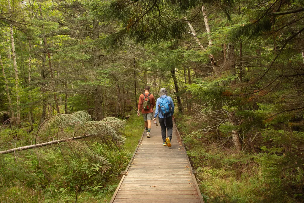 hikers walking on a wood bridge in the forest. 