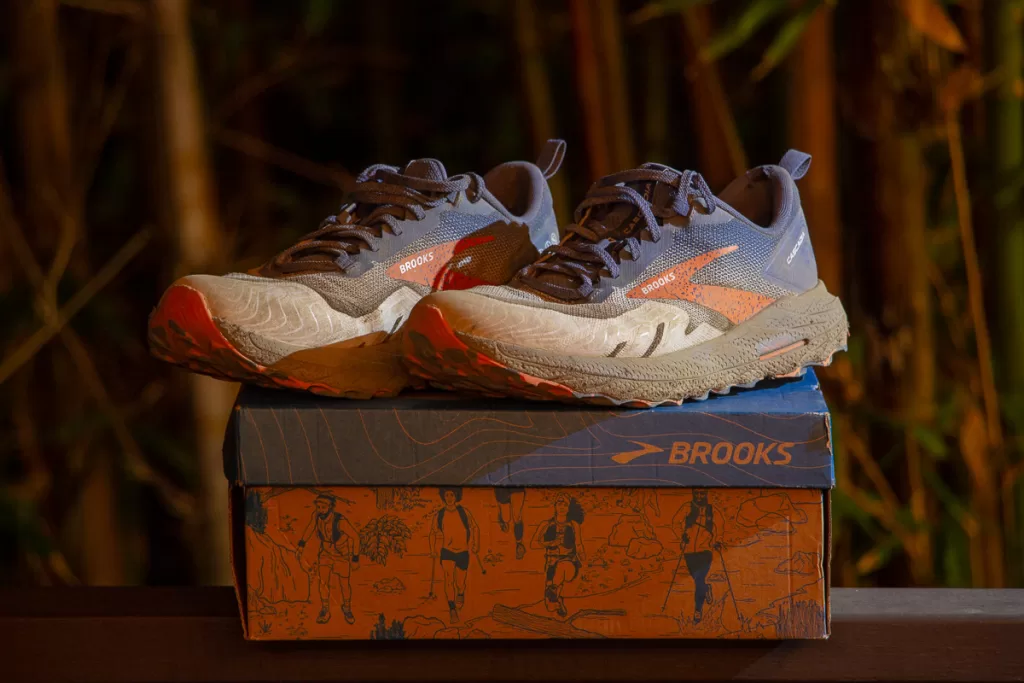 a pair of hiking shoes. 