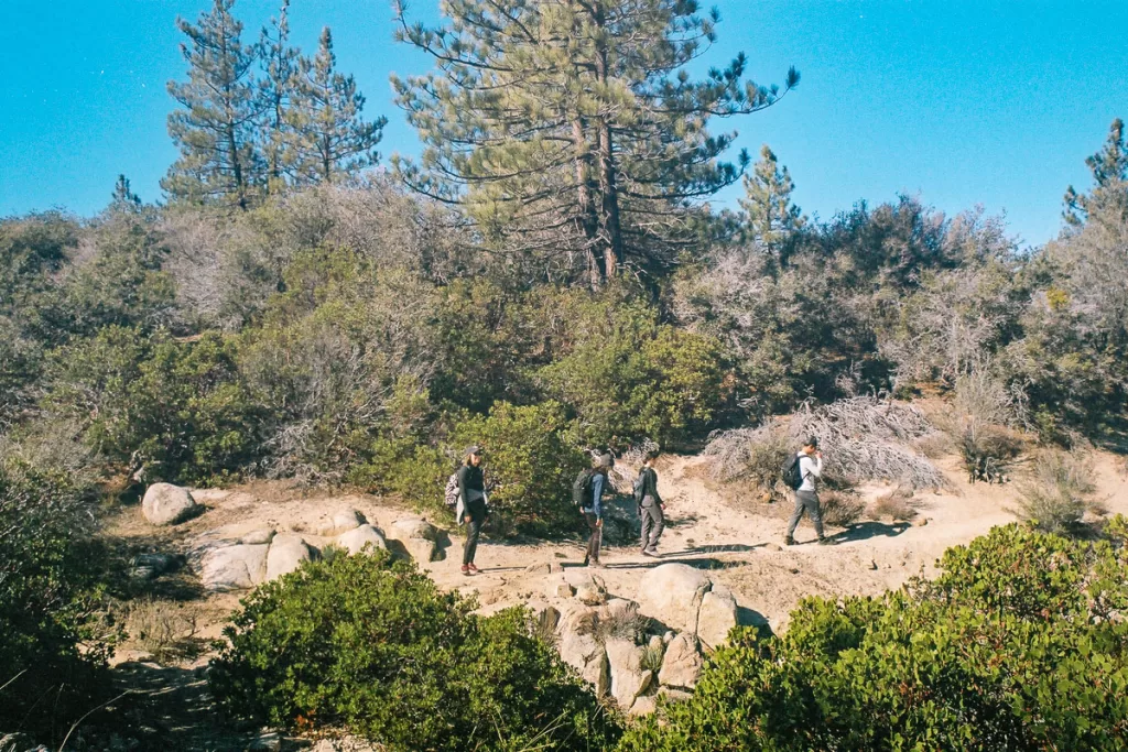 Hikers hiking along a trail in the San Gabriel Mountains.