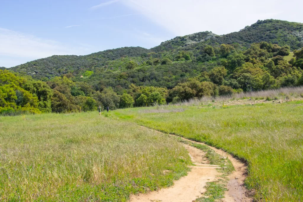 two hikers hiking along a trail in the Santa Monica Mountains. 