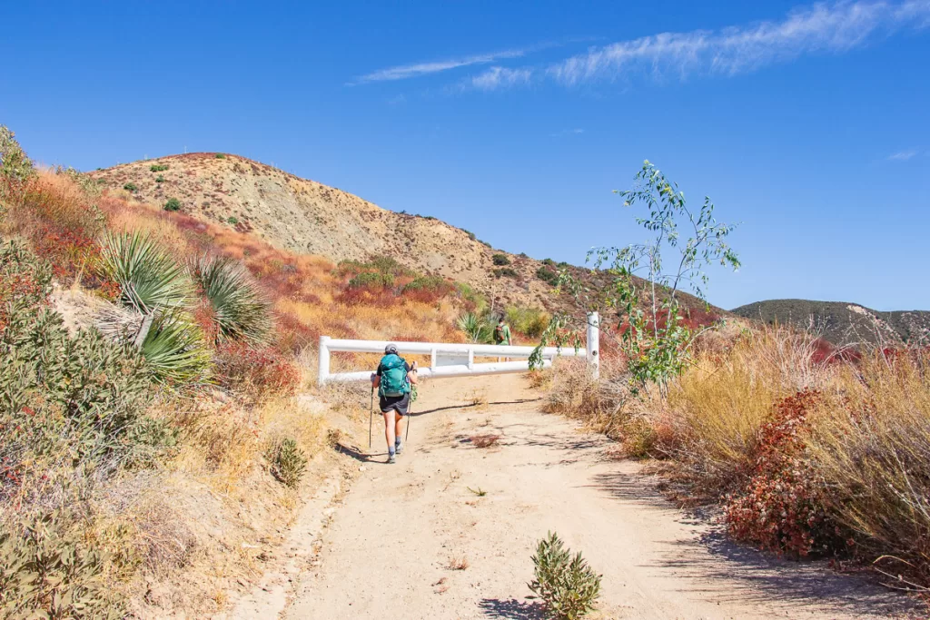 two hikers hiking using backpacks and trekking poles, two pieces of gear ideal if you're learning how to hike.