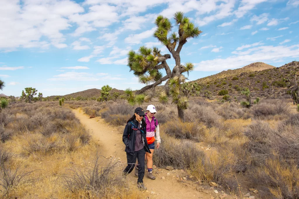 Two hikers walking along a trail in Joshua Tree.