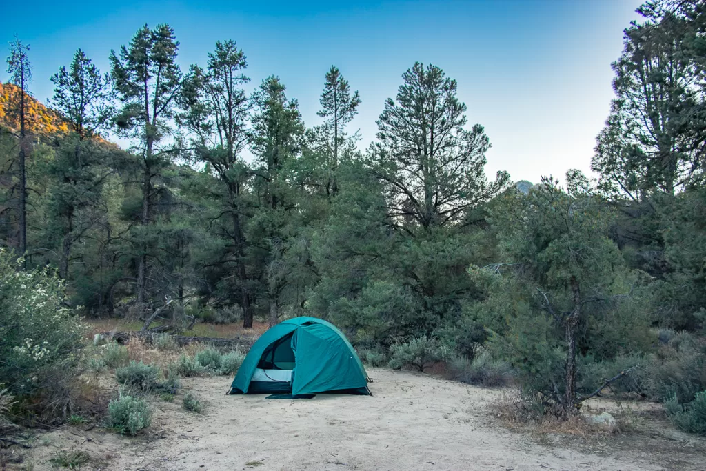 A tent set up in the forest at a disbursed campsite, a great way to adventure on a budget since they are free.  