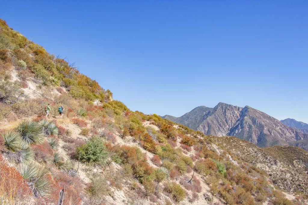 Two hikers hiking in the mountains. 