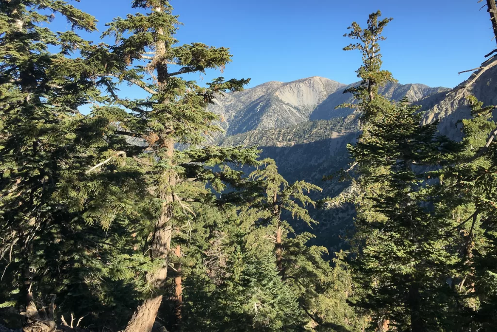 The San Gabriel Mountains in the morning light on my way back to my car during my first solo backpacking trip.