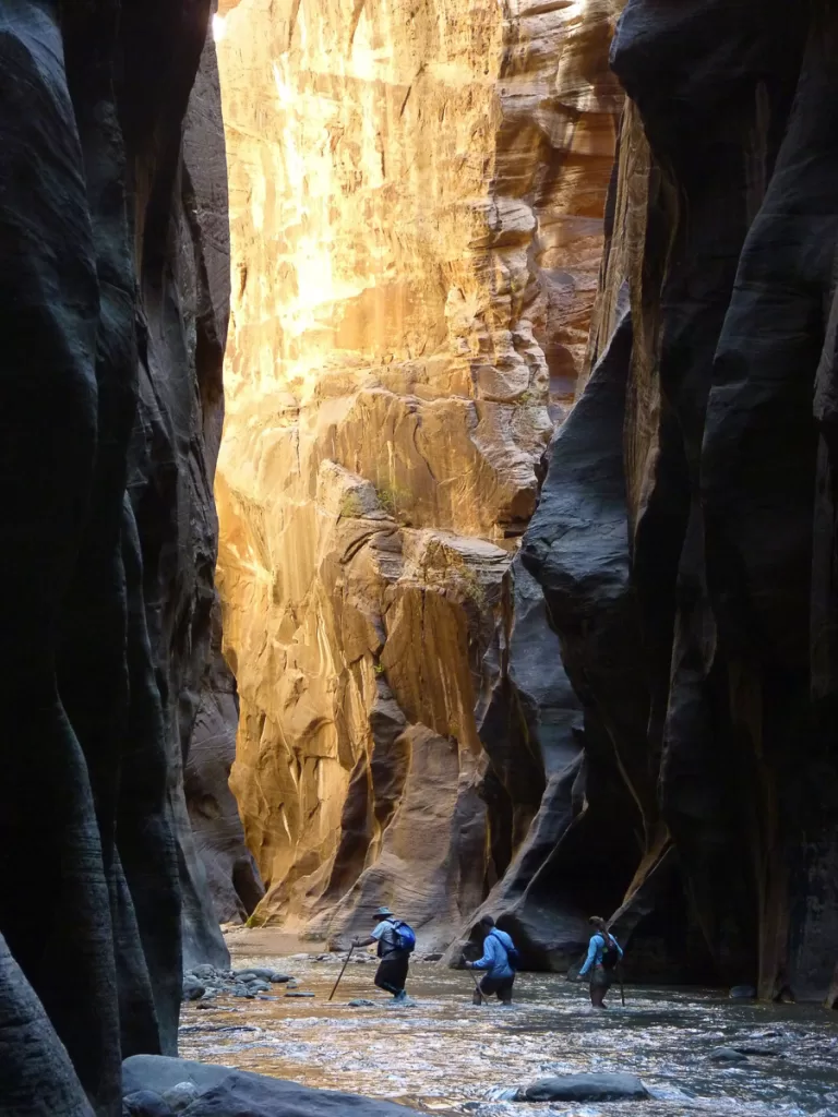 hikers navigating the Narrows in Zion National Park. 