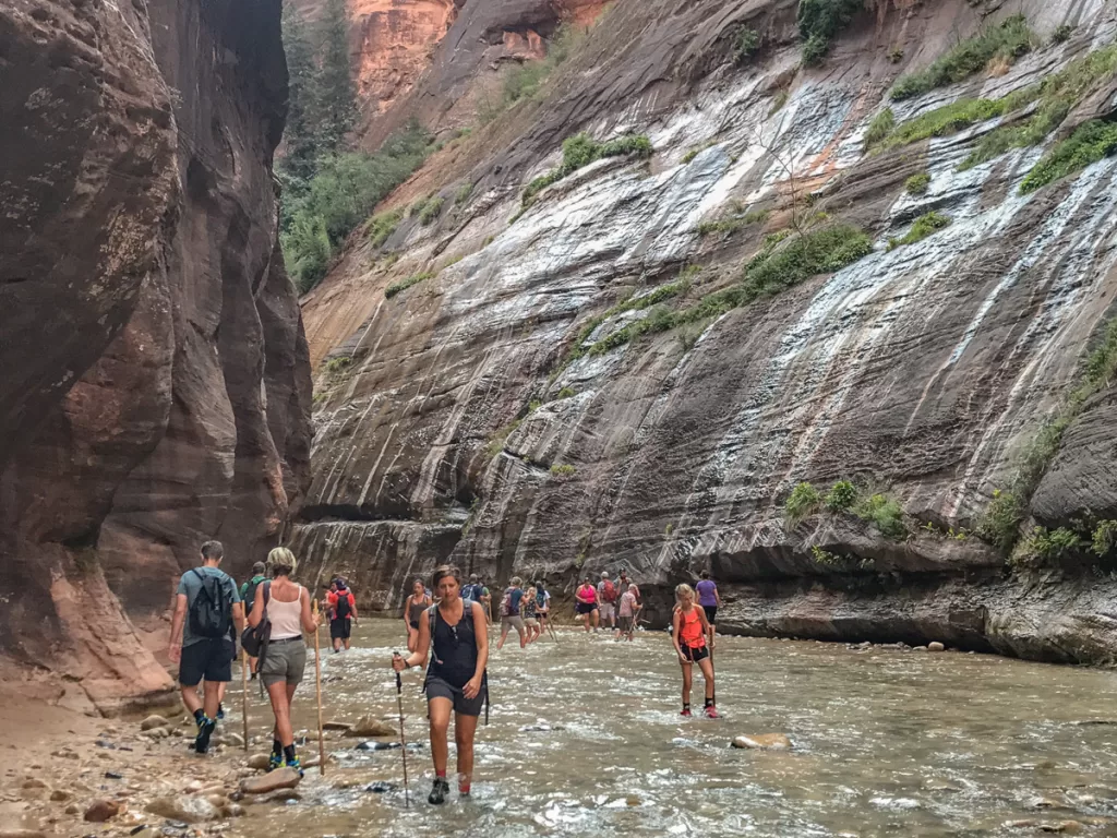 people walking in the Virgin river as they hike the Narrows.