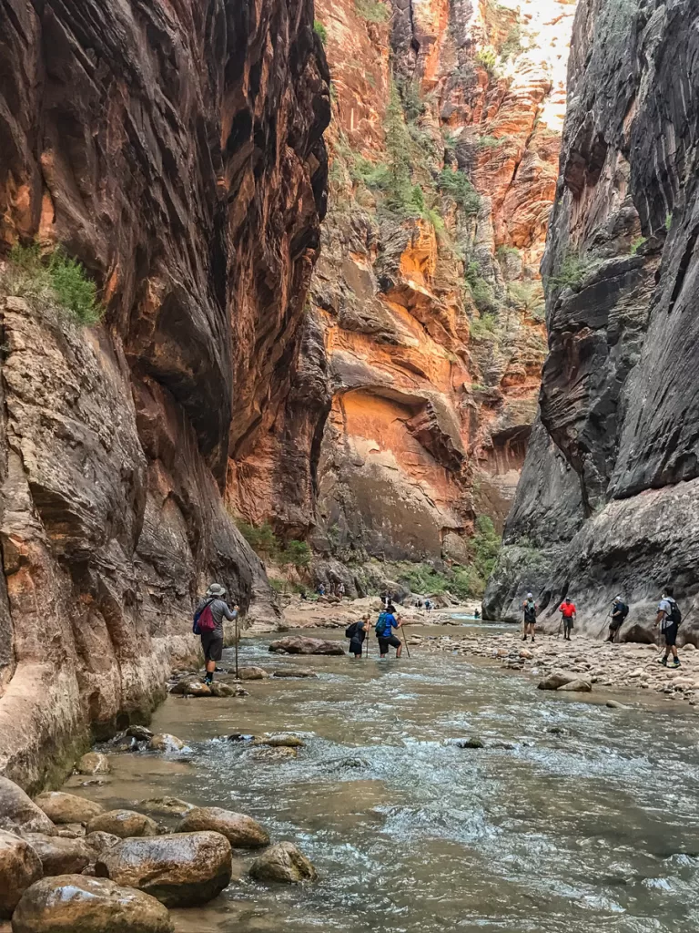 hikers hiking through a canyon. 