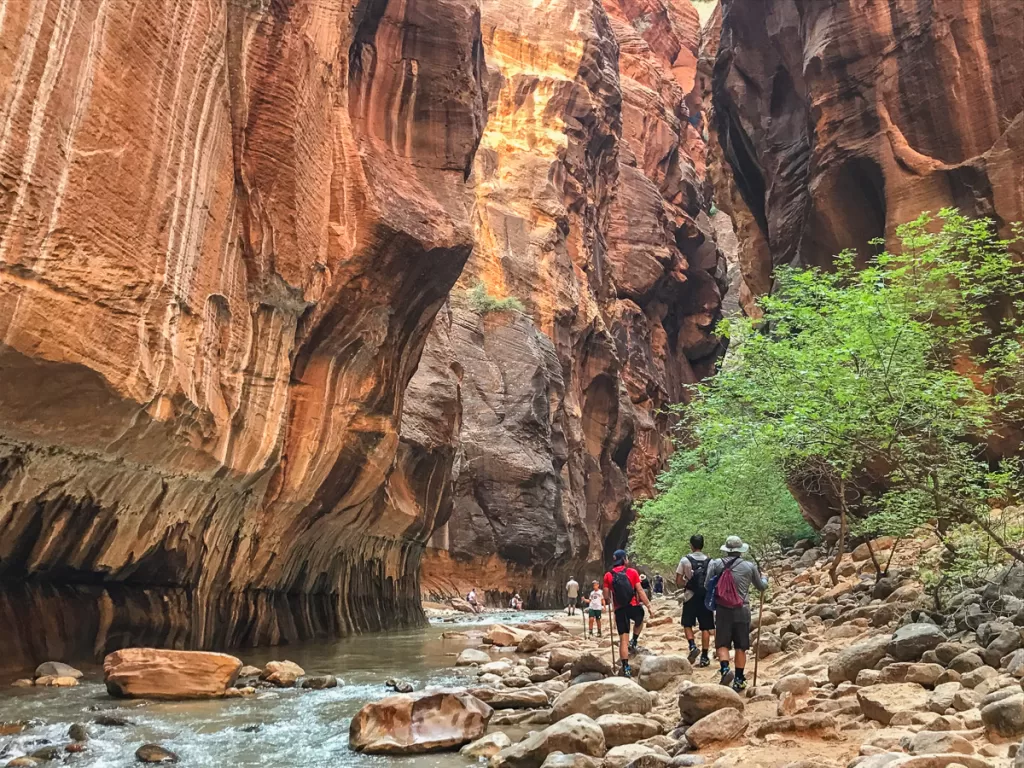 hikers walking along the Virgin river in a canyon.