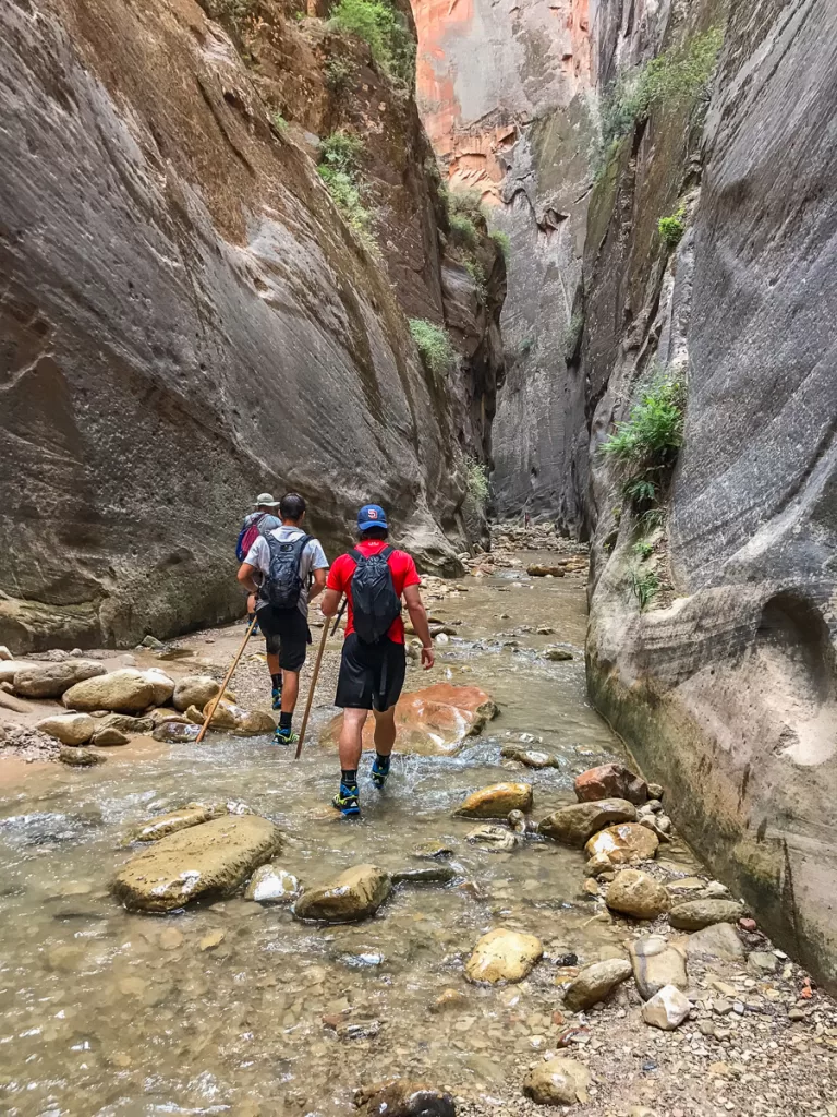 Hikers walking through the river water as they hike the Narrows.