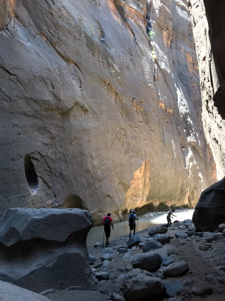 hikers working their way up the Virgin River as they hike the Narrows. 