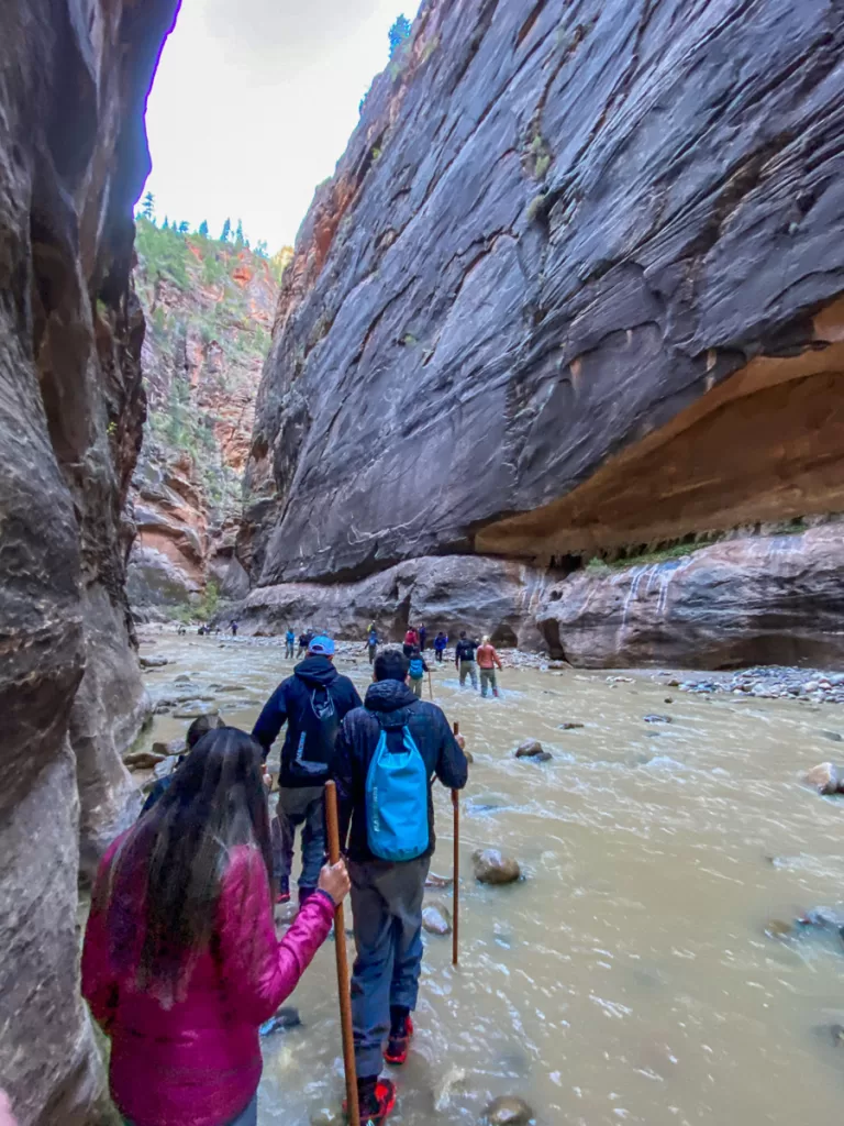 hikers hiking the Narrows in Zion National Park. 