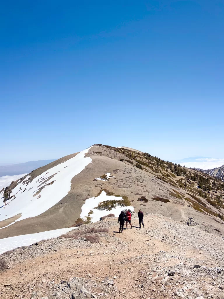 hikers climbing Mount Baldy. 