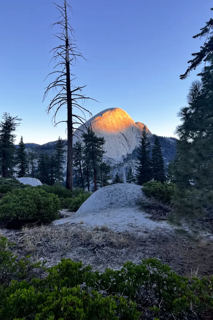 Half Dome lit up by the morning alpenglow. 